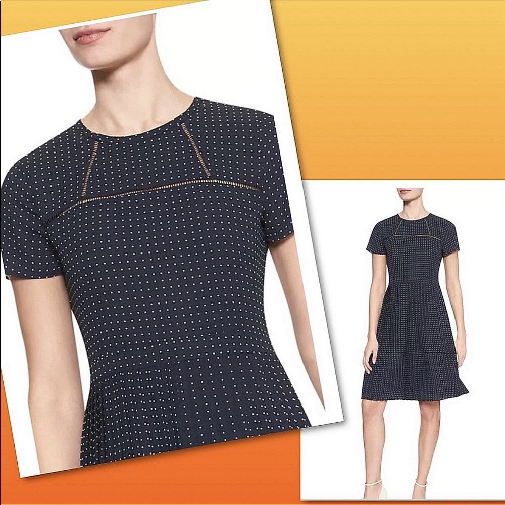 Banana Republic Print Pleated Fit and Flare Dress